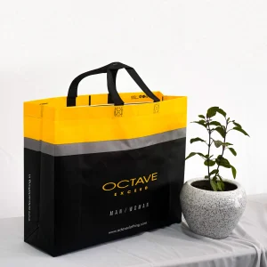 Non-Woven Bags vs Woven PP Bags: Which One Fits Your Business?