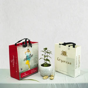 Non-Woven Bags with Custom Logo Printing: A Step-by-Step Process