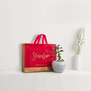 Best Carry Bag Manufacturer in Ludhiana & Punjab: What to Check Before You Order